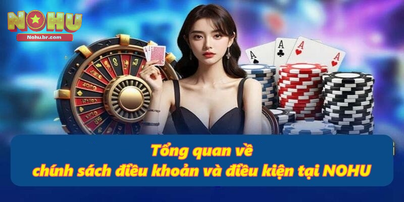 Tổng quan về chính sách điều khoản và điều kiện tại NOHU